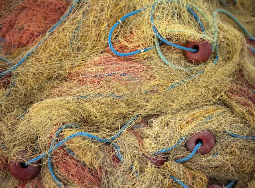 Fishing net