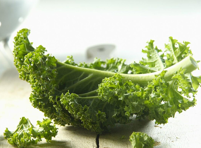 Leaf cabbage
