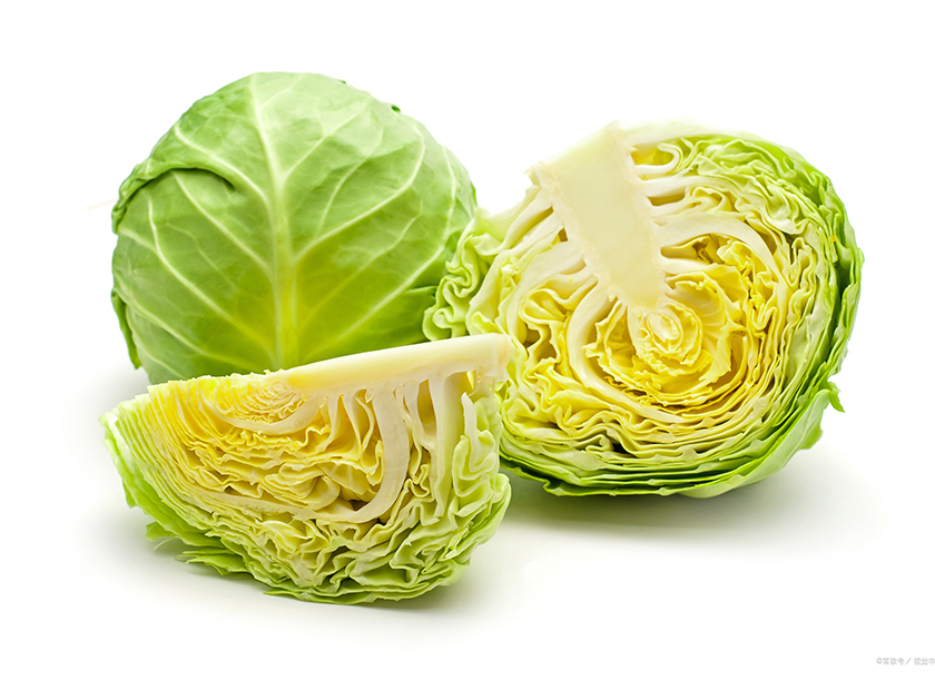Cabbage